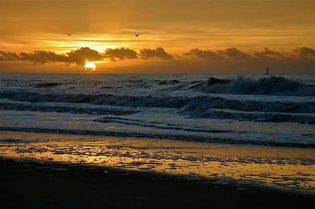 Photo scenic view of beach against sky during sunset