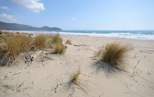 Foto vista panoramica della spiaggia contro il cielo nella terra della maremma