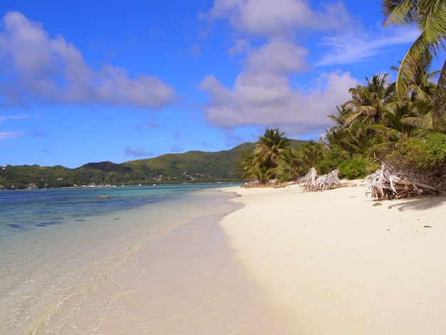 Photo scenic view of beach against sky