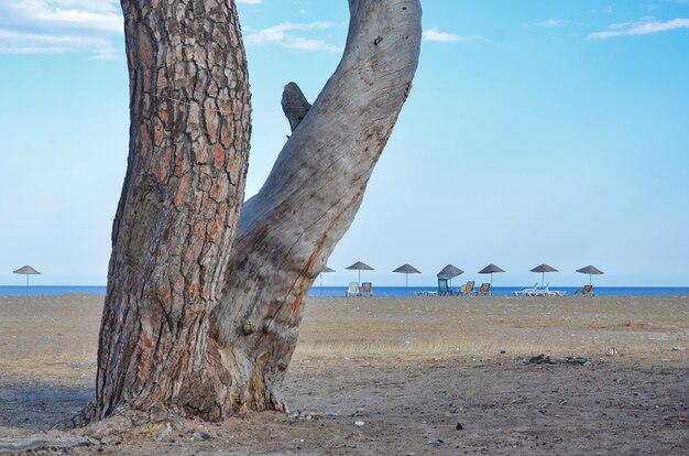 Foto vista panoramica della spiaggia contro il cielo