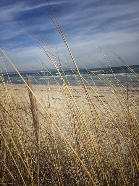 Photo scenic view of beach against sky