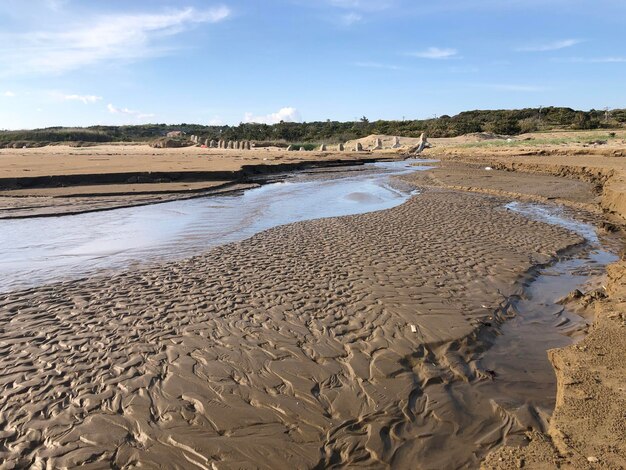 Scenic view of beach against sky