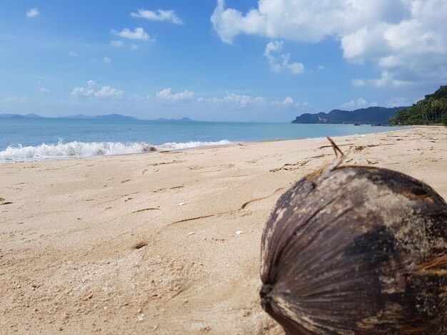 Photo scenic view of beach against sky