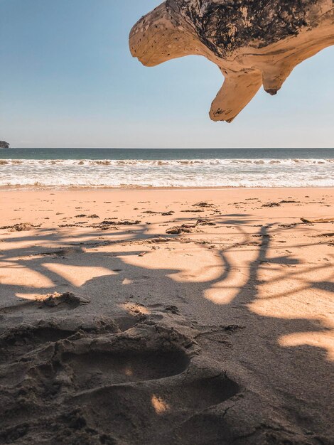 Photo scenic view of beach against sky