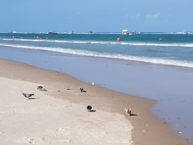 Scenic view of beach against sky