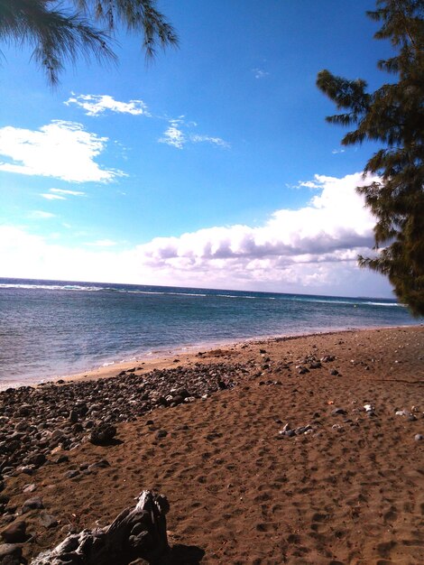 Scenic view of beach against sky