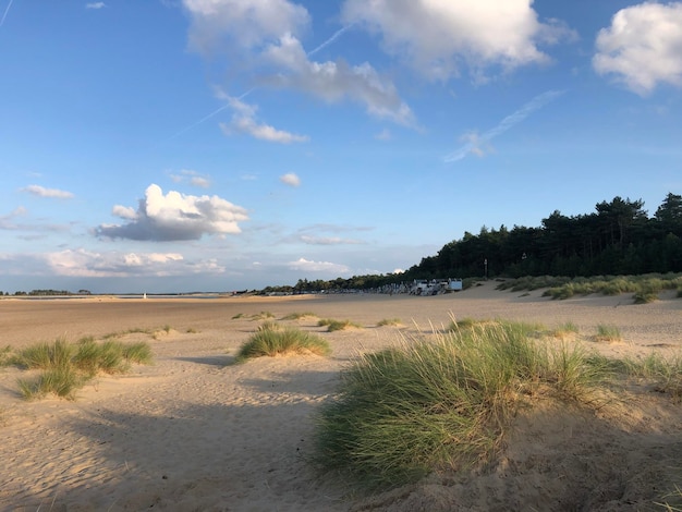 Foto vista panoramica della spiaggia contro il cielo