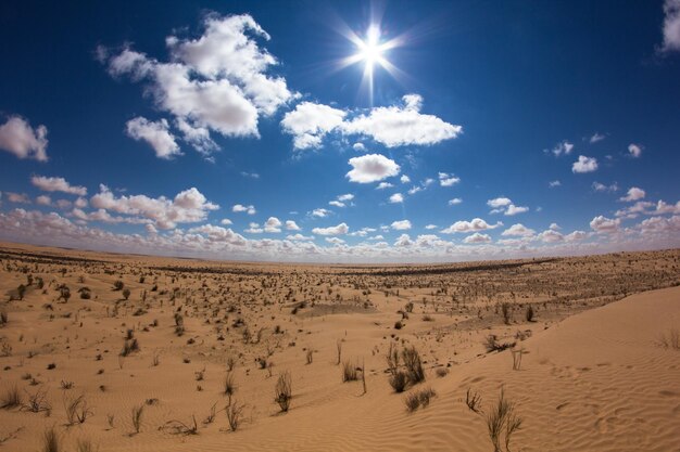 Foto vista panoramica della spiaggia contro il cielo