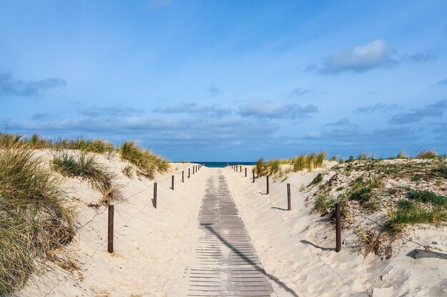 Scenic view of beach against sky