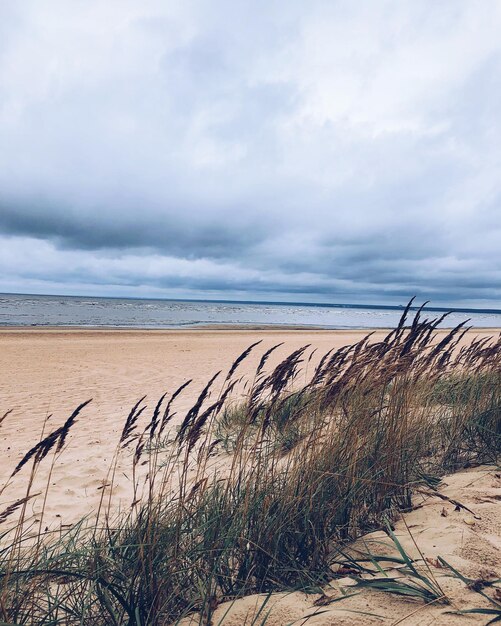 Foto vista panoramica della spiaggia contro il cielo