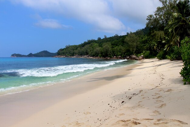 Photo scenic view of beach against sky