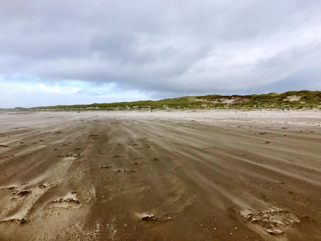 Foto vista panoramica della spiaggia contro il cielo