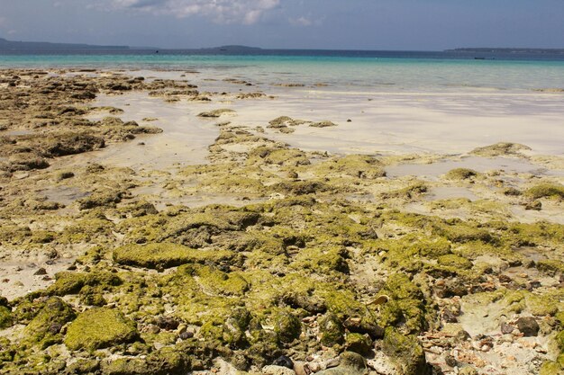 Foto vista panoramica della spiaggia contro il cielo