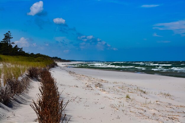 Scenic view of beach against sky