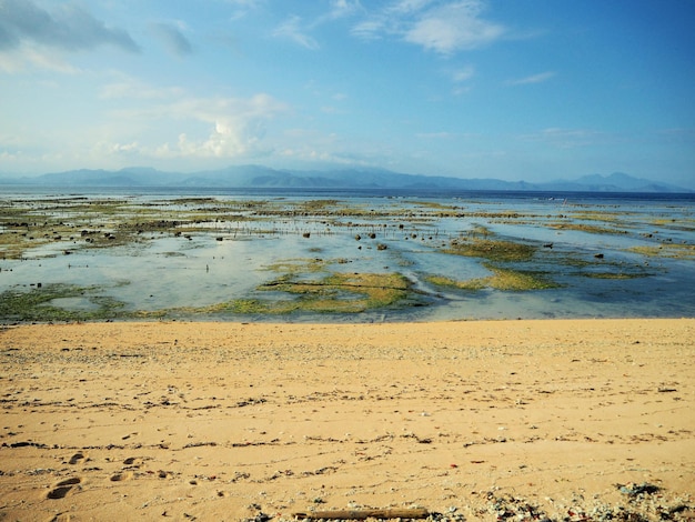 Foto vista panoramica della spiaggia contro il cielo