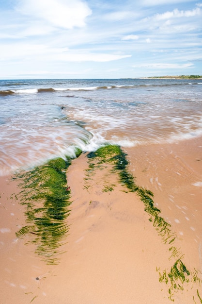 Foto vista panoramica della spiaggia contro il cielo