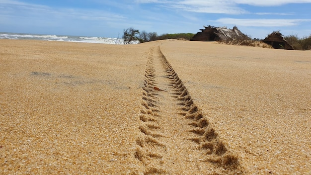 Photo scenic view of beach against sky