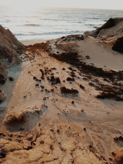 Foto vista panoramica della spiaggia contro il cielo