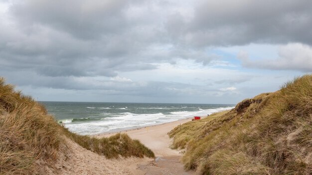 Photo scenic view of beach against sky