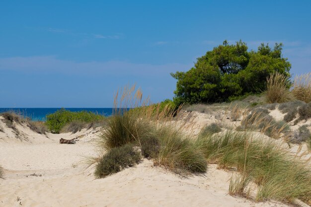 Photo scenic view of beach against sky