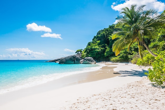 Photo scenic view of beach against sky