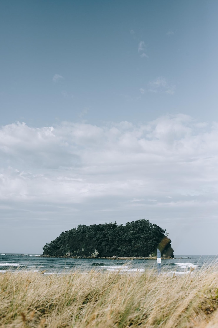 Photo 하늘 을 배경 으로 해변 의 풍경