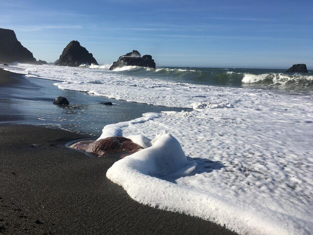 Foto vista panoramica della spiaggia contro il cielo