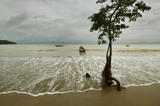 Scenic view of beach against sky