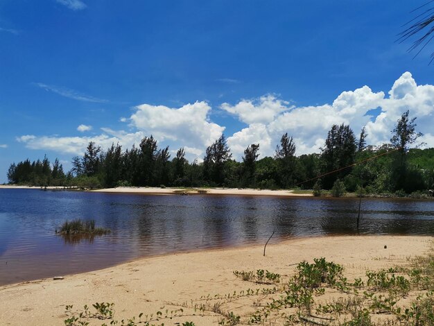 Scenic view of beach against sky