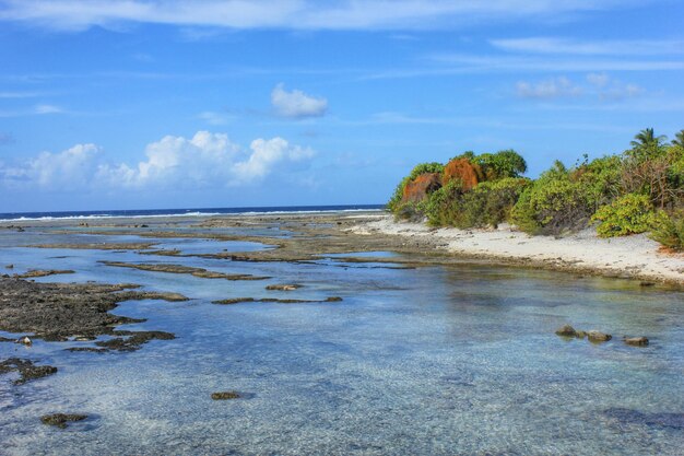 Scenic view of beach against sky