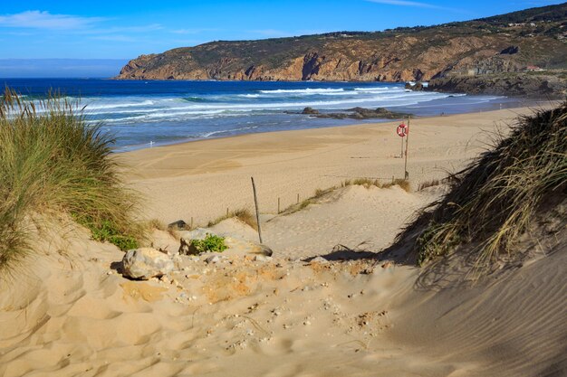 Scenic view of beach against sky