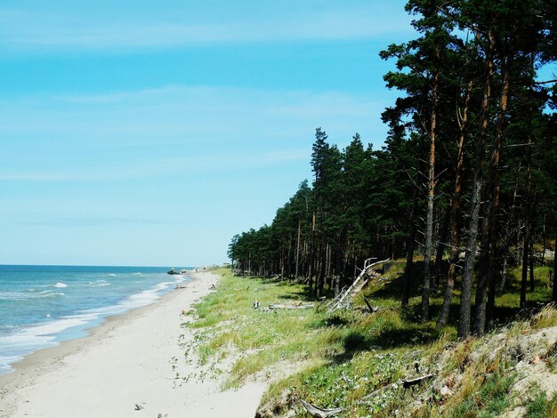 Photo scenic view of beach against sky