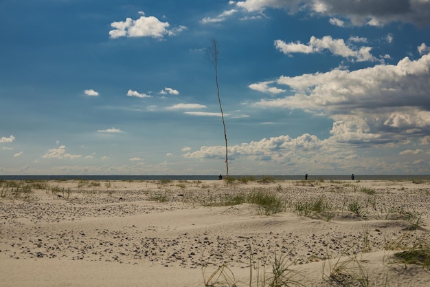 Foto vista panoramica della spiaggia contro il cielo