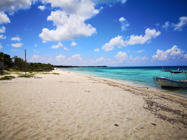 Scenic view of beach against sky