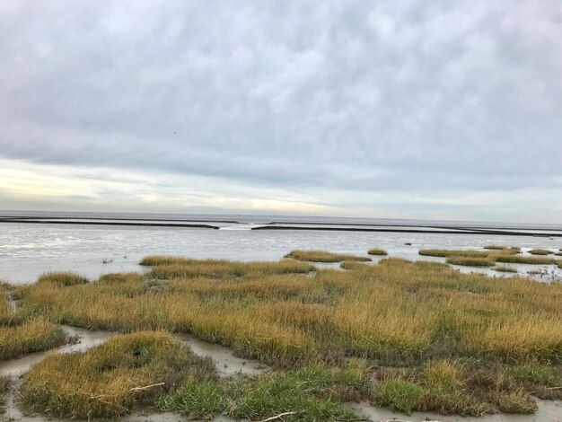 Foto vista panoramica della spiaggia contro il cielo