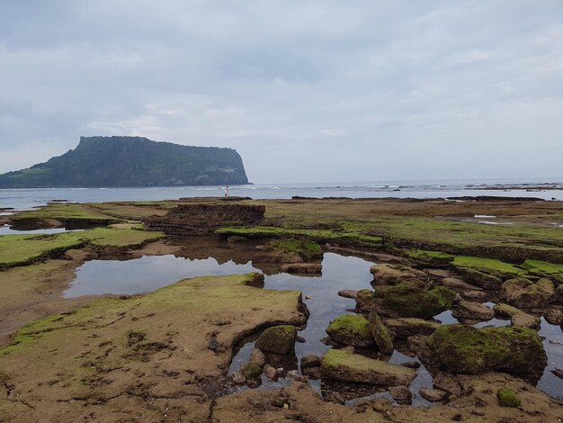 Foto vista panoramica della spiaggia contro il cielo