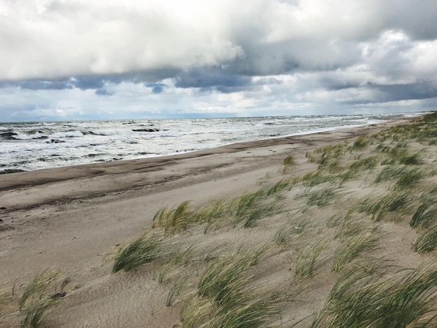 Scenic view of beach against sky