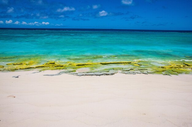 Scenic view of beach against sky