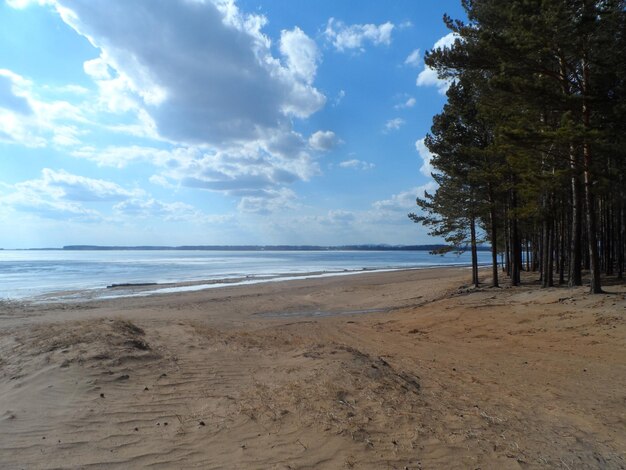 Photo scenic view of beach against sky