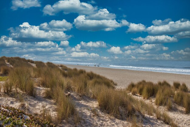 Foto vista panoramica della spiaggia contro il cielo