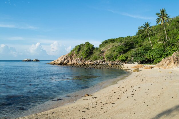 Foto vista panoramica della spiaggia contro il cielo