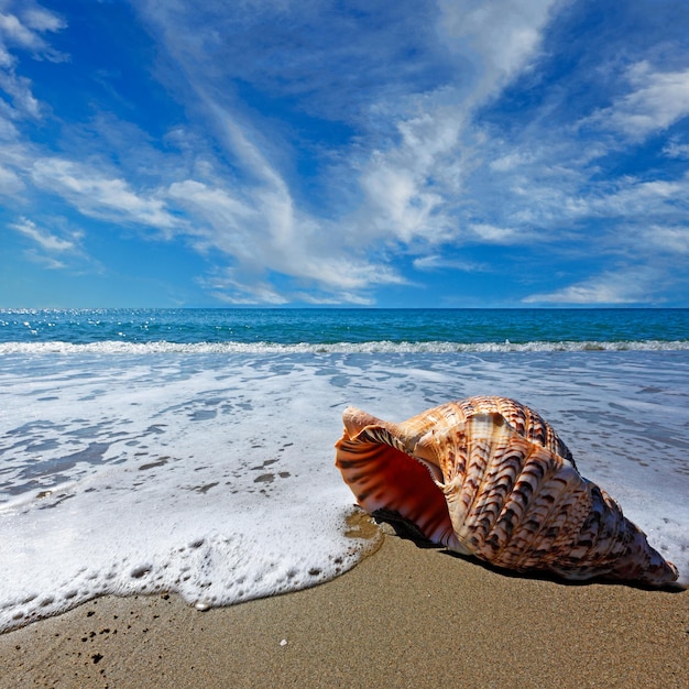 Photo scenic view of beach against sky