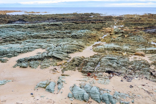 Foto vista panoramica della spiaggia contro il cielo