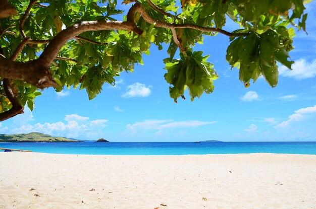 Photo scenic view of beach against sky