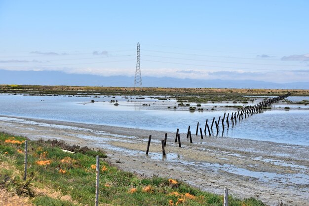 Foto vista panoramica della spiaggia contro il cielo