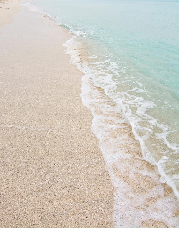 Photo 하늘 을 배경 으로 해변 의 풍경