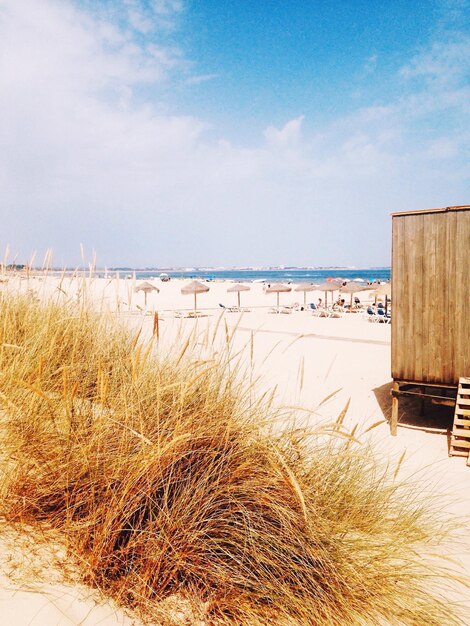 Scenic view of beach against sky