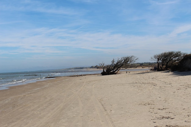 Foto vista panoramica della spiaggia contro il cielo