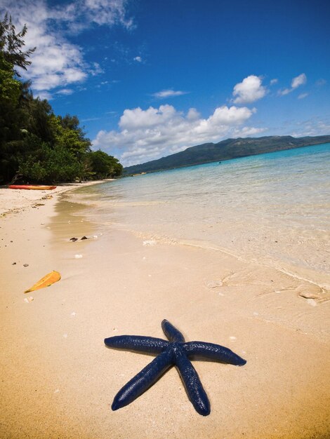 Photo scenic view of beach against sky