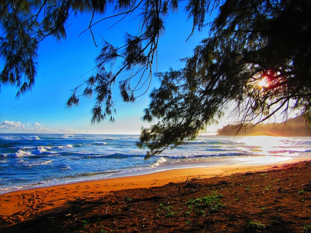 Photo scenic view of beach during sunny day